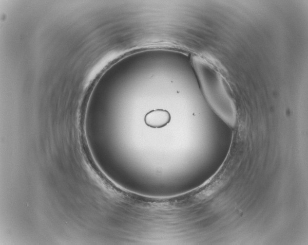 X0000057091422200510071859