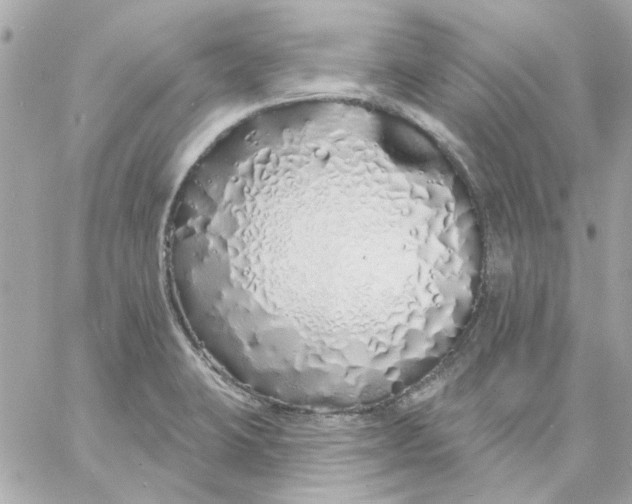 X0000057091423200510071859