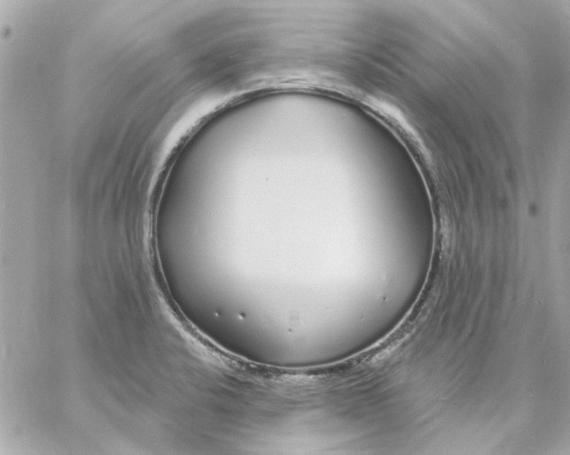 X0000057091424200510071859