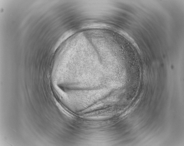 X0000057091425200510071859