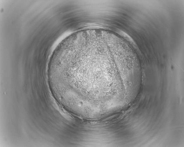 X0000057091427200510071859