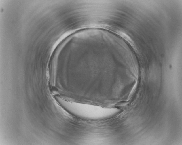 X0000057091428200510071859