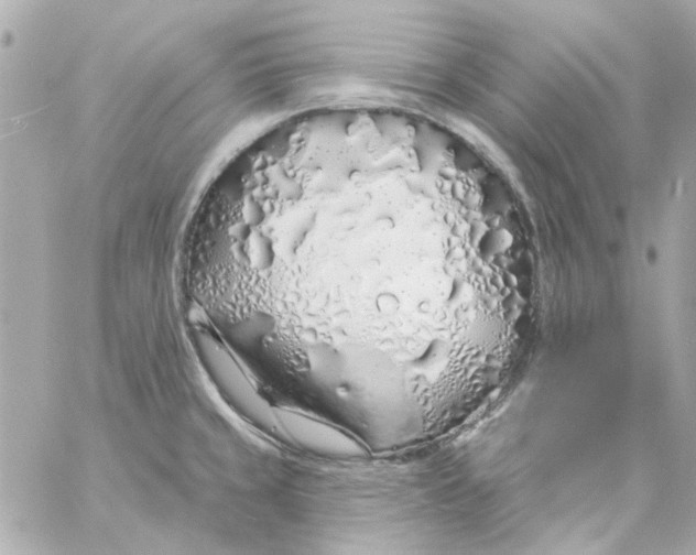 X0000057091429200510071859