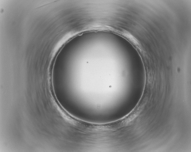 X0000057091430200510071859