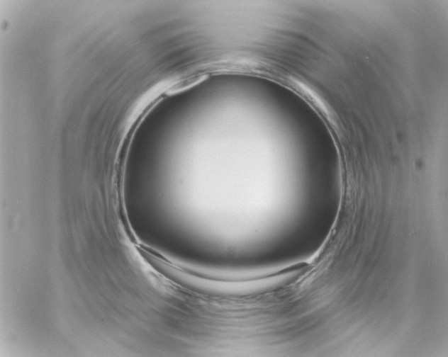 X0000057091434200510071859