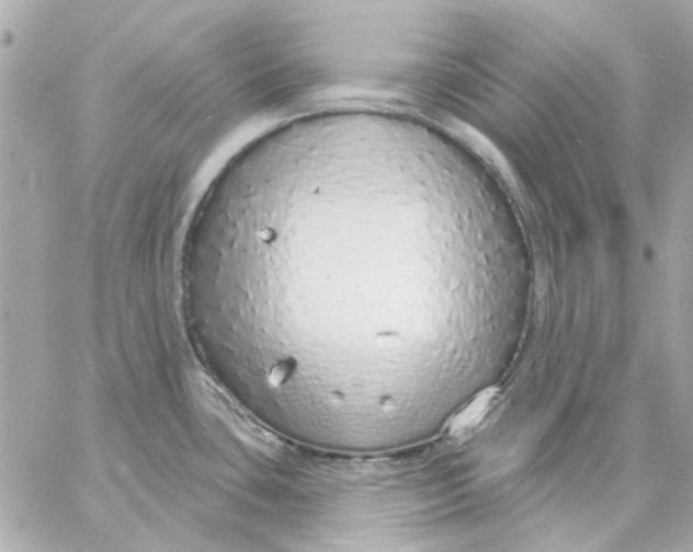 X0000057091435200510071859