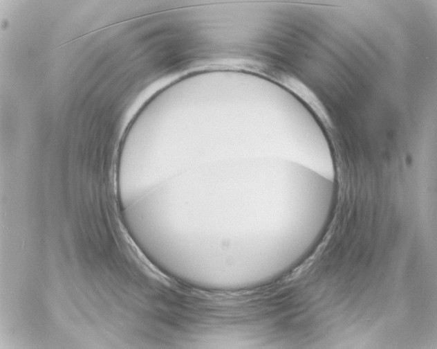 X0000057091436200510071900