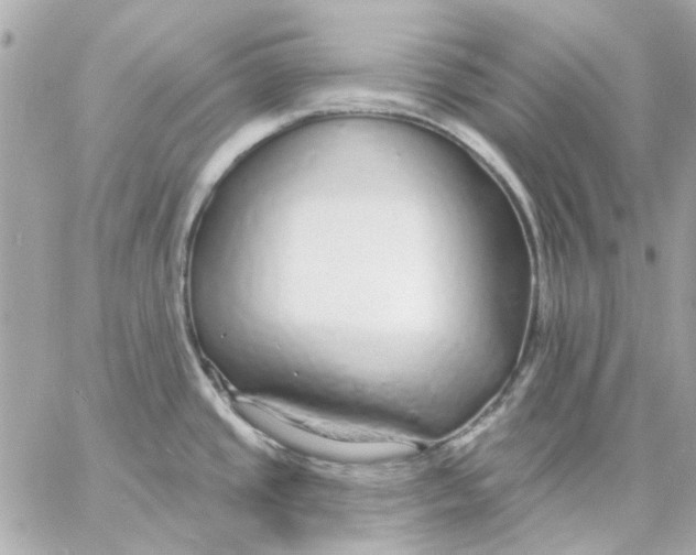 X0000057091437200510071900