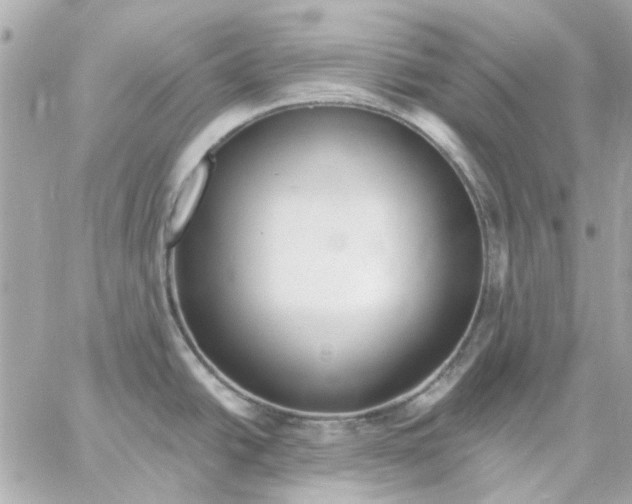 X0000057091438200510071900