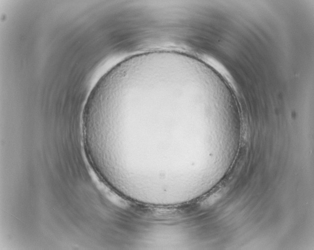 X0000057091439200510071900