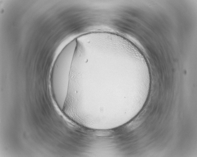 X0000057091440200510071900