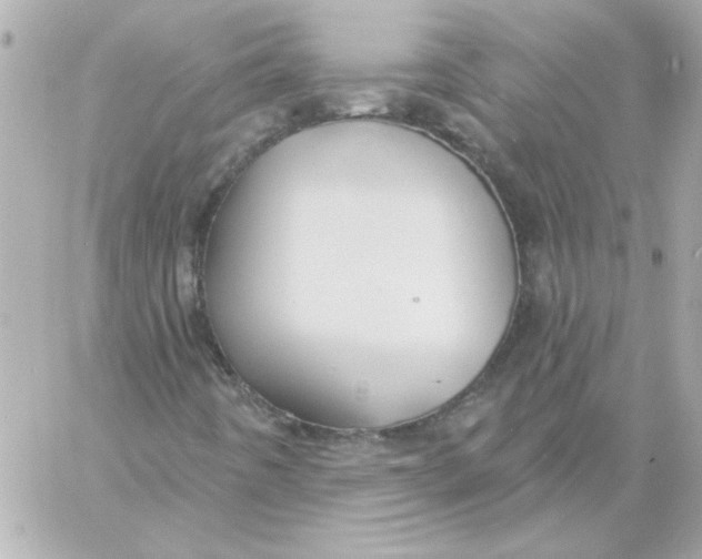 X0000057091442200510071859