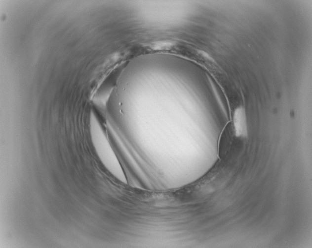 X0000057091443200510071859