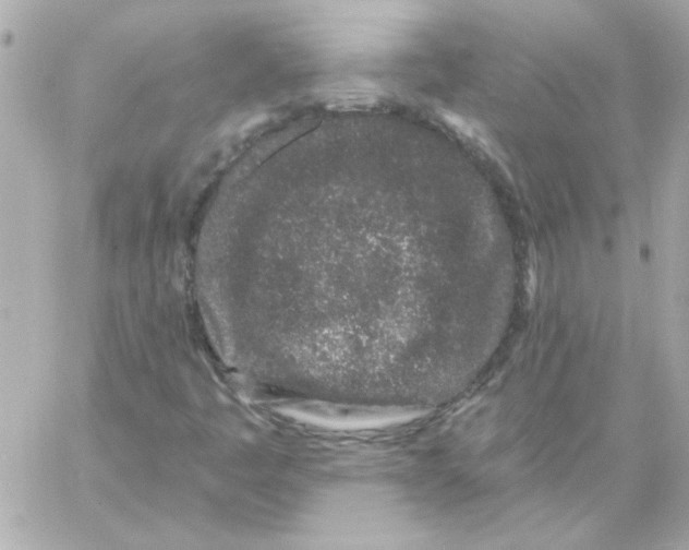 X0000057091445200510071859