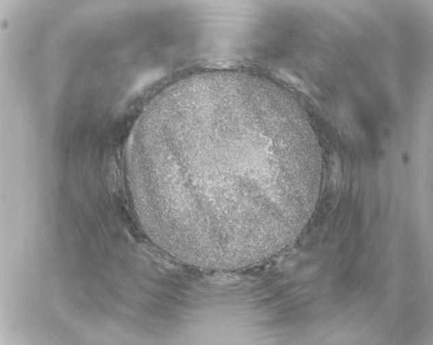 X0000057091446200510071859