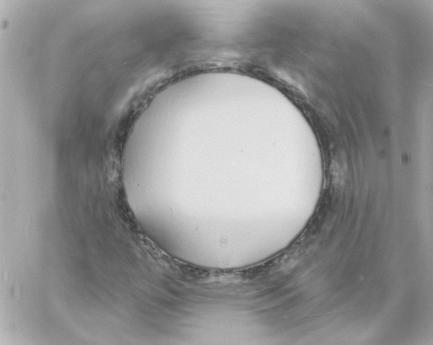 X0000057091447200510071859