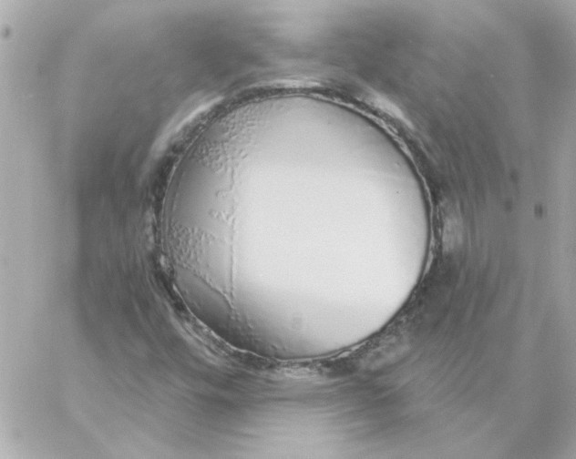 X0000057091448200510071859