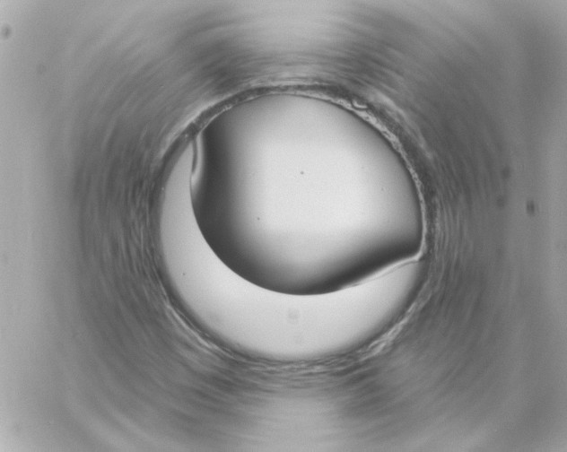 X0000057091449200510071859