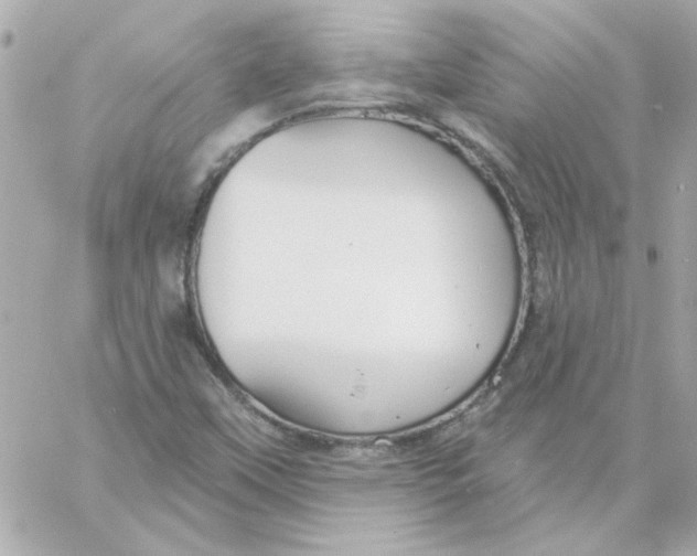 X0000057091451200510071859