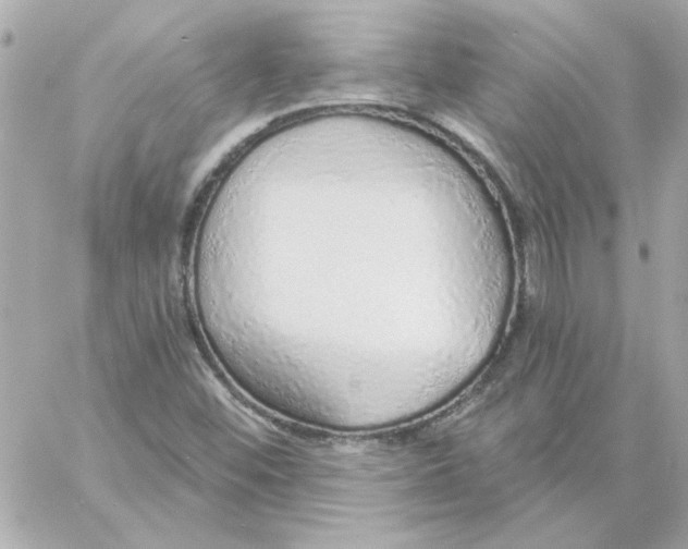 X0000057091452200510071859