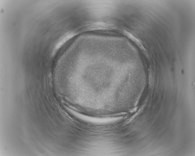 X0000057091453200510071859