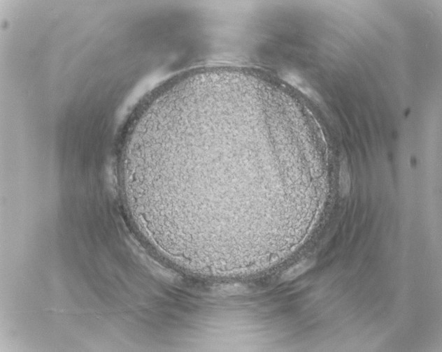 X0000057091454200510071859