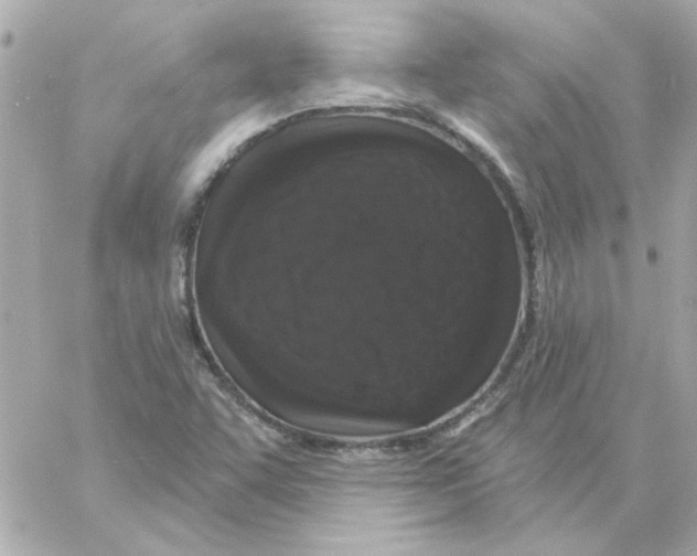 X0000057091455200510071859