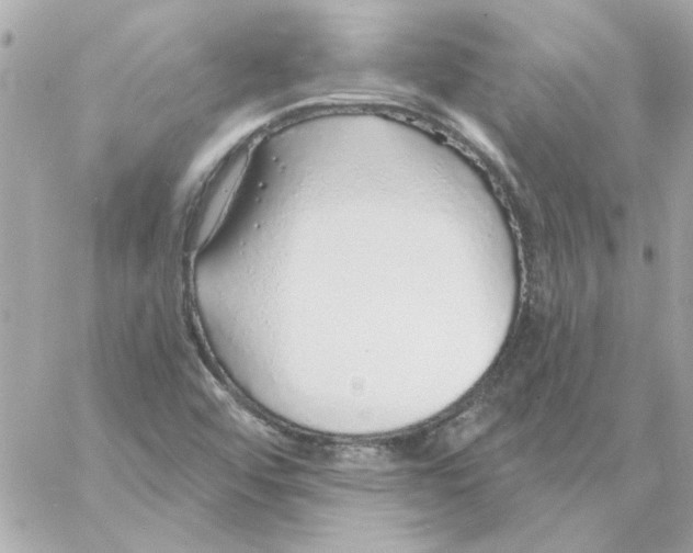 X0000057091456200510071859