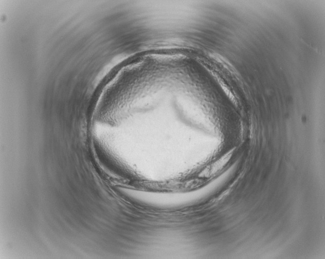 X0000057091457200510071859