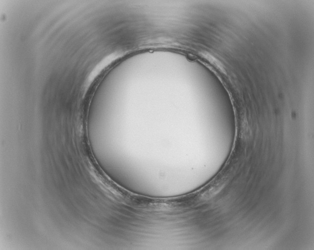 X0000057091458200510071858