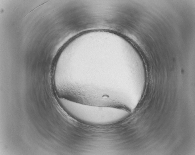 X0000057091460200510071858