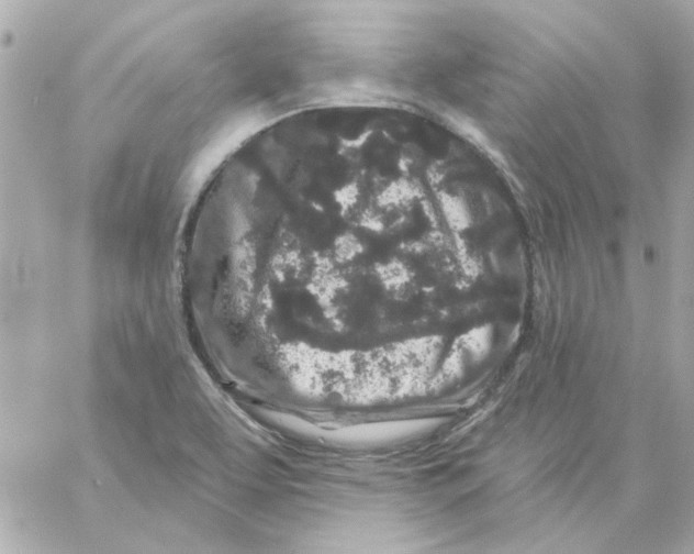 X0000057091463200510071858