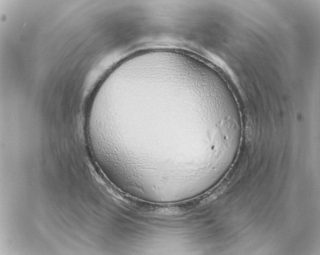 X0000057091464200510071858