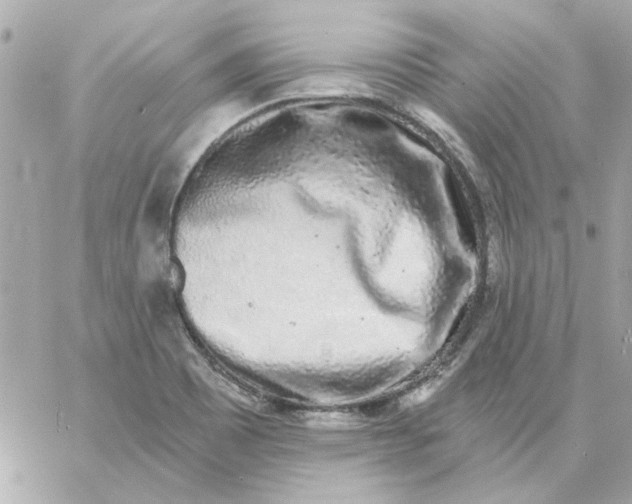 X0000057091465200510071858