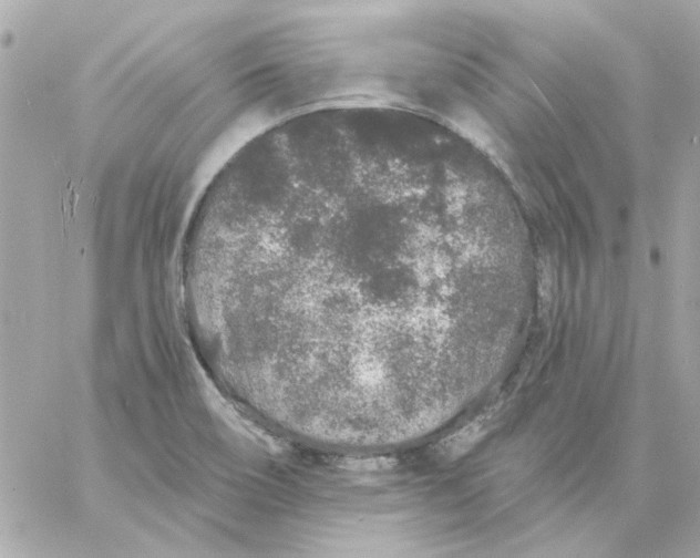 X0000057091466200510071858