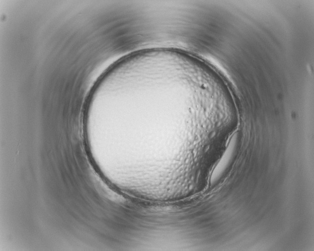 X0000057091468200510071858