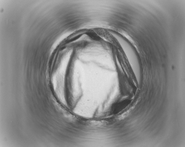 X0000057091469200510071858