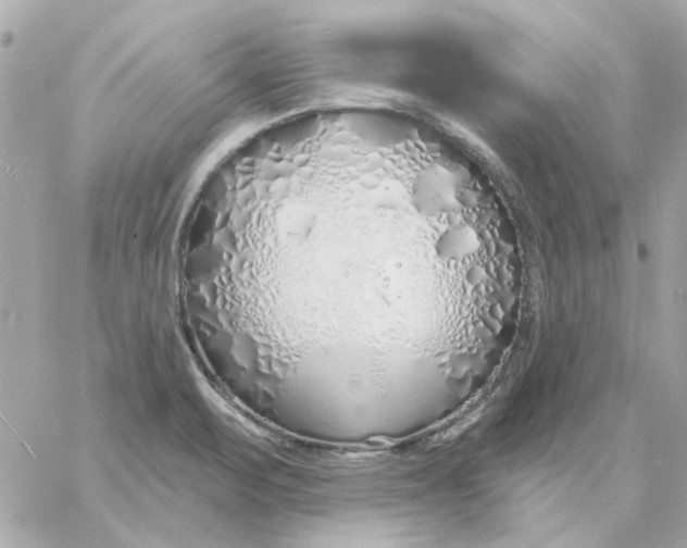 X0000057091471200510071858