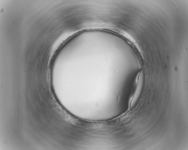 X0000057091472200510071858