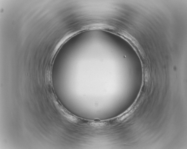 X0000057091473200510071858