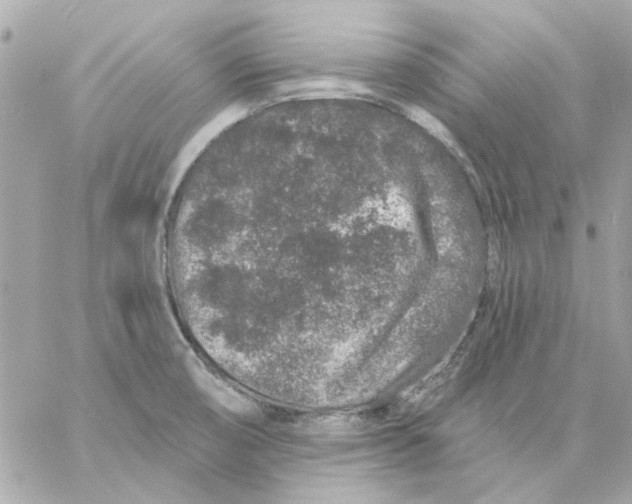 X0000057091474200510071858