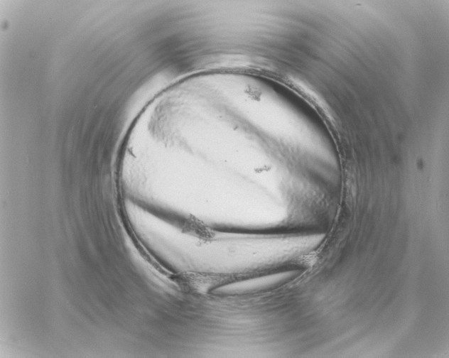 X0000057091475200510071858