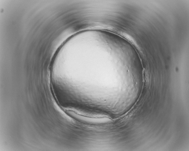 X0000057091476200510071858