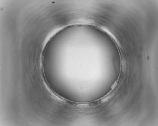 X0000057091477200510071858