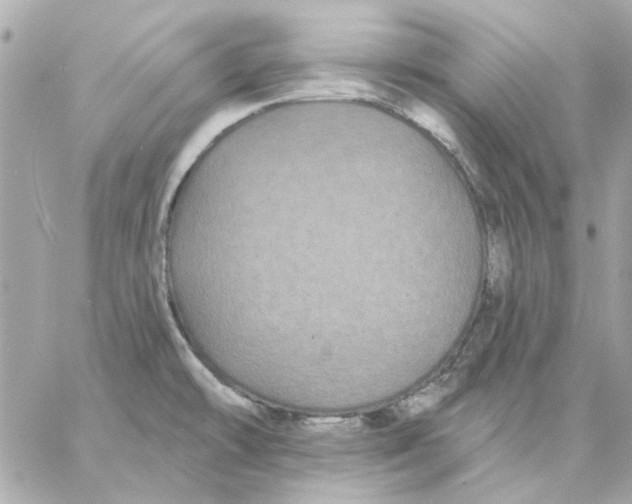 X0000057091478200510071858