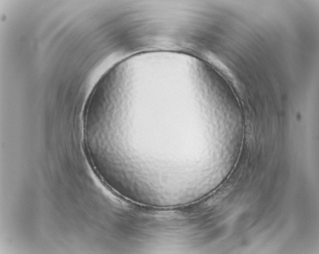 X0000057091479200510071858