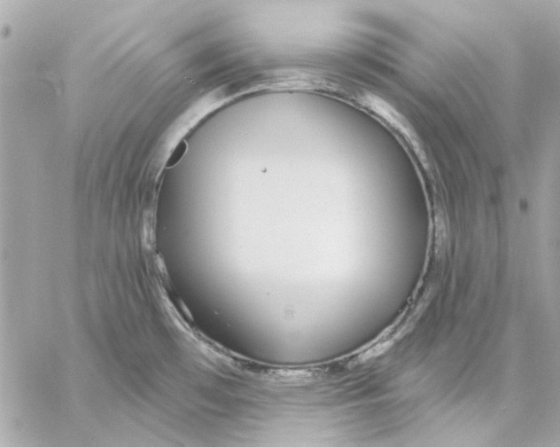 X0000057091481200510071858