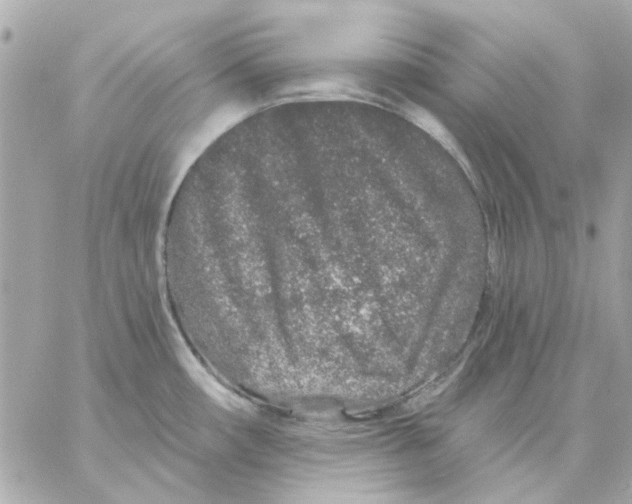 X0000057091482200510071858