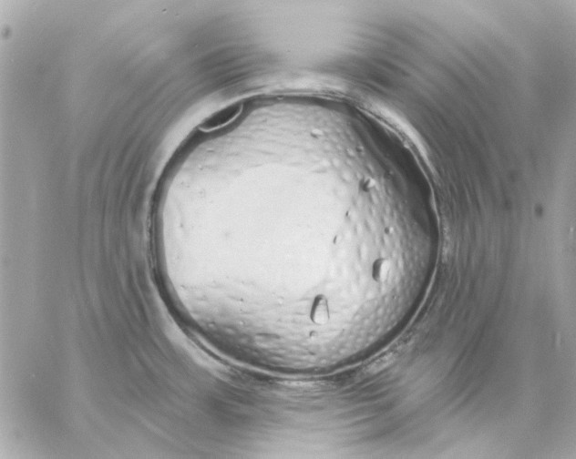 X0000057091483200510071858