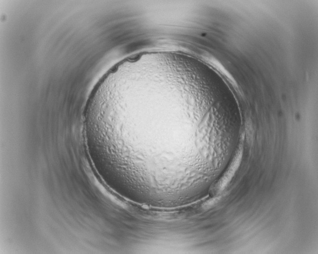 X0000057091484200510071858